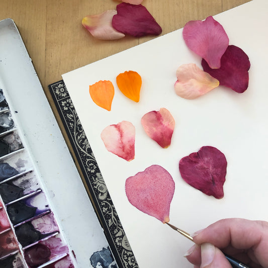 Painting Petals with Sophie Tivona