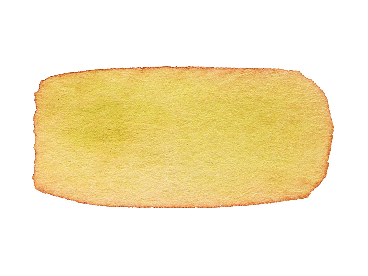 CfM Algae