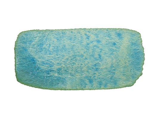 CfM Tide Pool