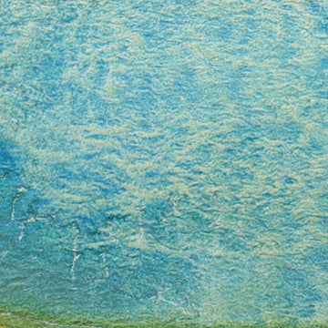 CfM Tide Pool