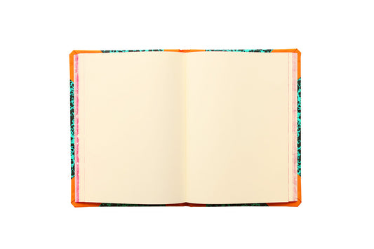 Emilio Braga Sketchbooks - Orange