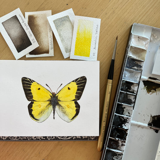 Butterflies with Sophie Tivona