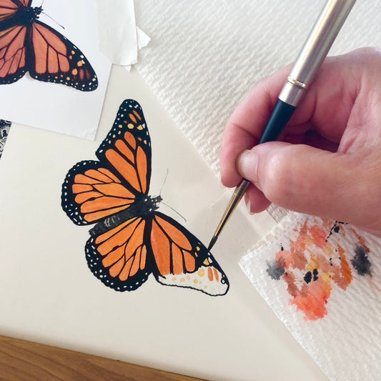 Butterflies with Sophie Tivona