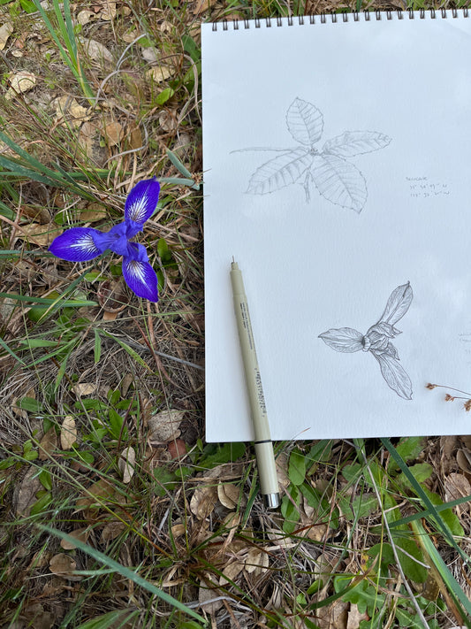 Open Air Drawing Club with Sam Galison, sATURDAY, SEPTEMBER 26, 10am - 12pm PTIn-person workshop at CfM Art Room, San Francisco.