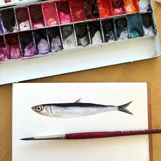 Little Fish with Sophie Tivona