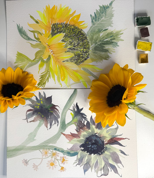 Fluid Florals - Sunflowers with Claire Wilson-Oghedo