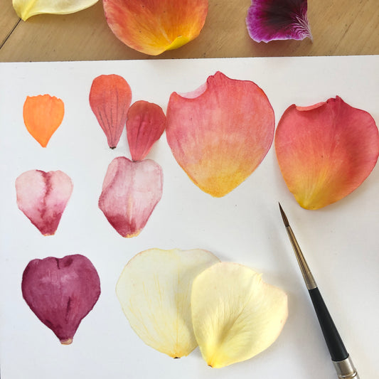 Painting Petals with Sophie Tivona
