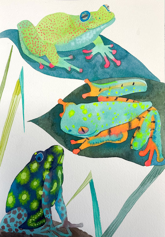 Fluid Fauna: Tree Frogs with Claire Wilson