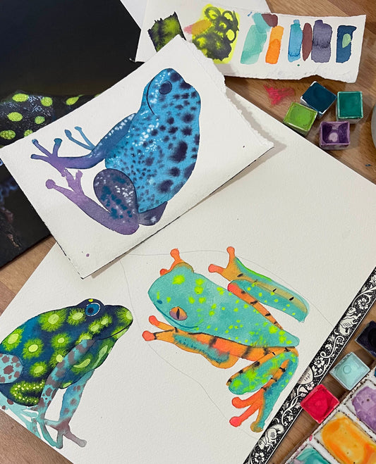 Fluid Fauna: Tree Frogs with Claire Wilson