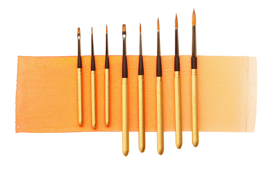 CfM Ultimate Travel Brush Bundle