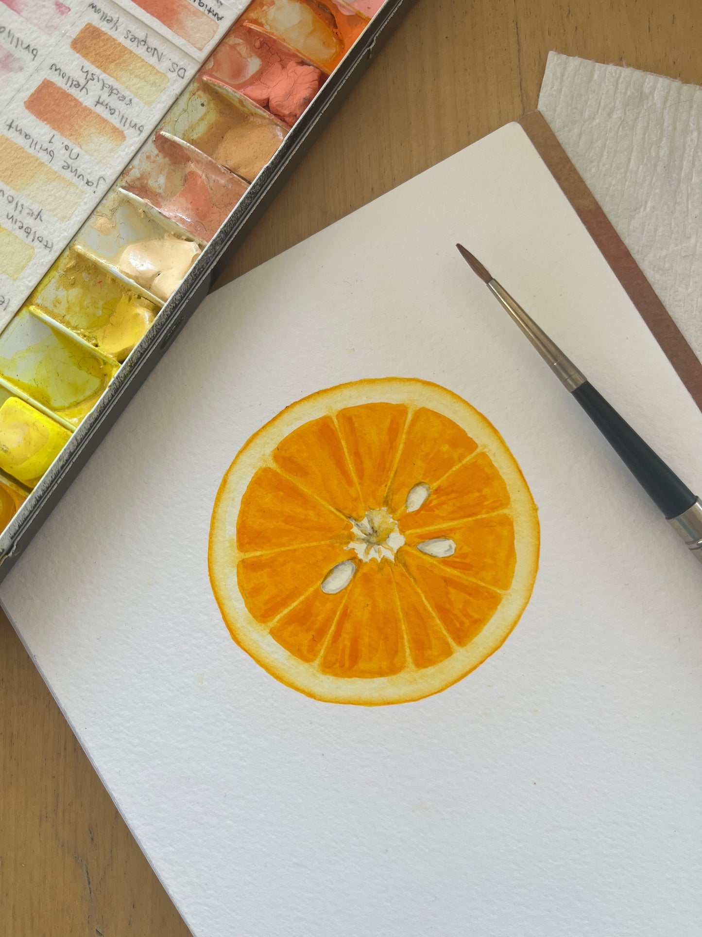 Juicy Citrus Slices with Sophie Tivona