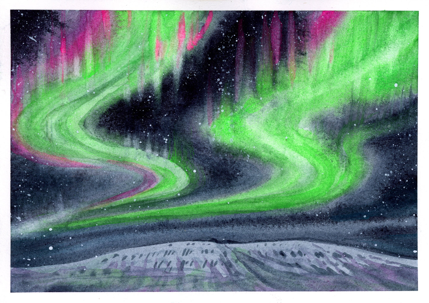 Naturalist Studies: Northern Lights with Melanie Lan