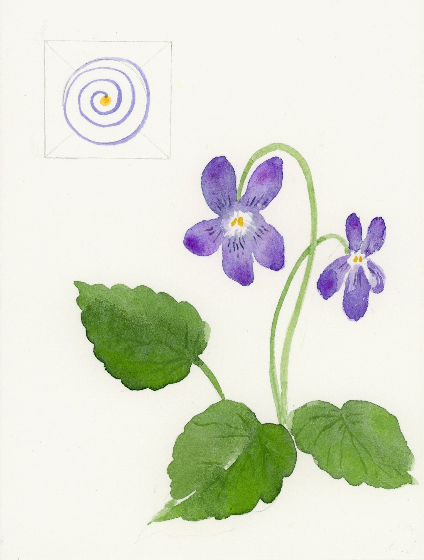 New! Hilma af Klint's Flowers with Melanie Lan
