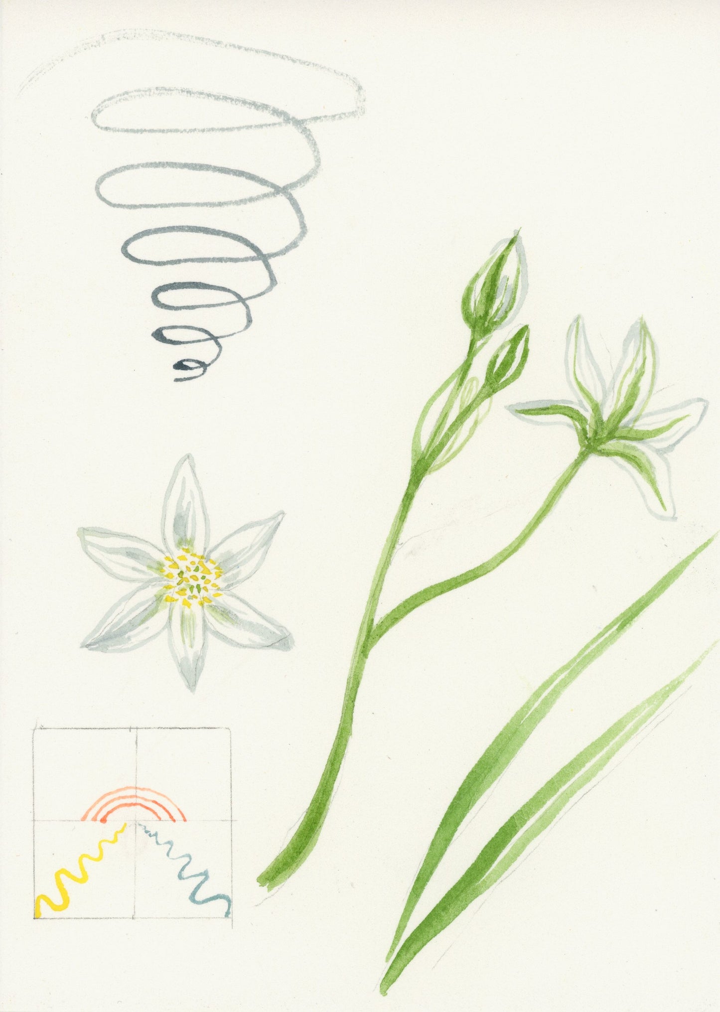 New! Hilma af Klint's Flowers with Melanie Lan