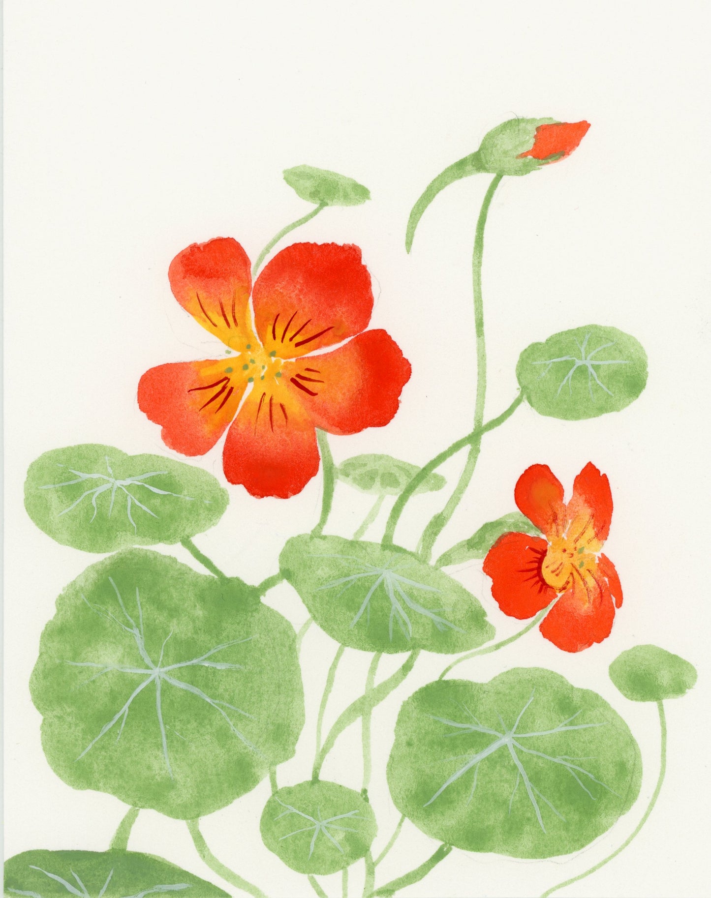 New! Hilma af Klint's Flowers with Melanie Lan