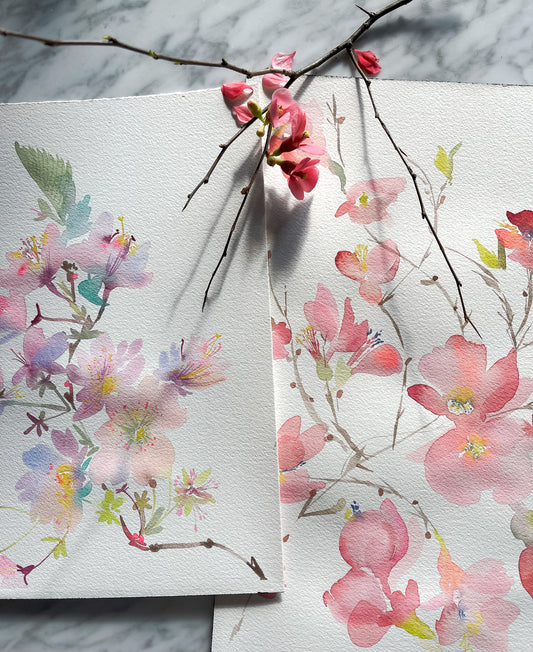 Fluid Flora: Sakura Season with Claire Wilson-Oghedo