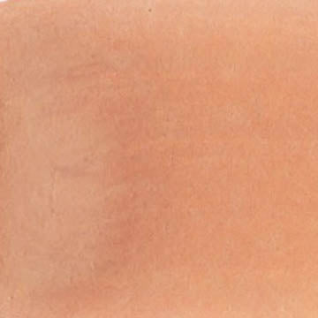 A cropped close up of the CfM Climate Change Is Real swatch.