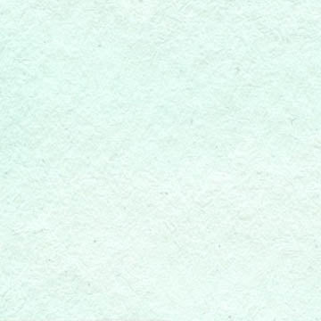 A cropped close up of the CfM Mint swatch.