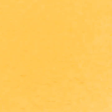 A cropped close up of the Egg Yolk Yellow swatch.