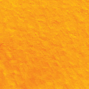 A cropped close up of the Fluorescent Orange Light swatch.