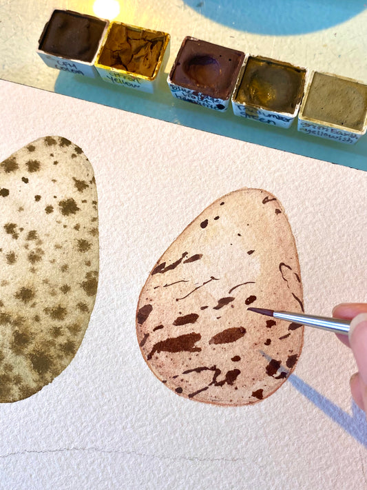 Naturalist Studies: Eggs & Feathers with Melanie Lan