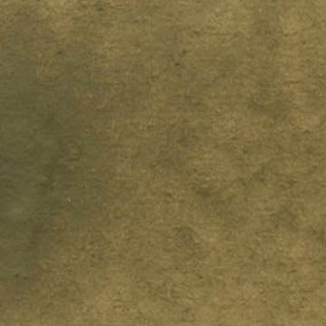 A cropped close up of the Raw Umber Greenish swatch.