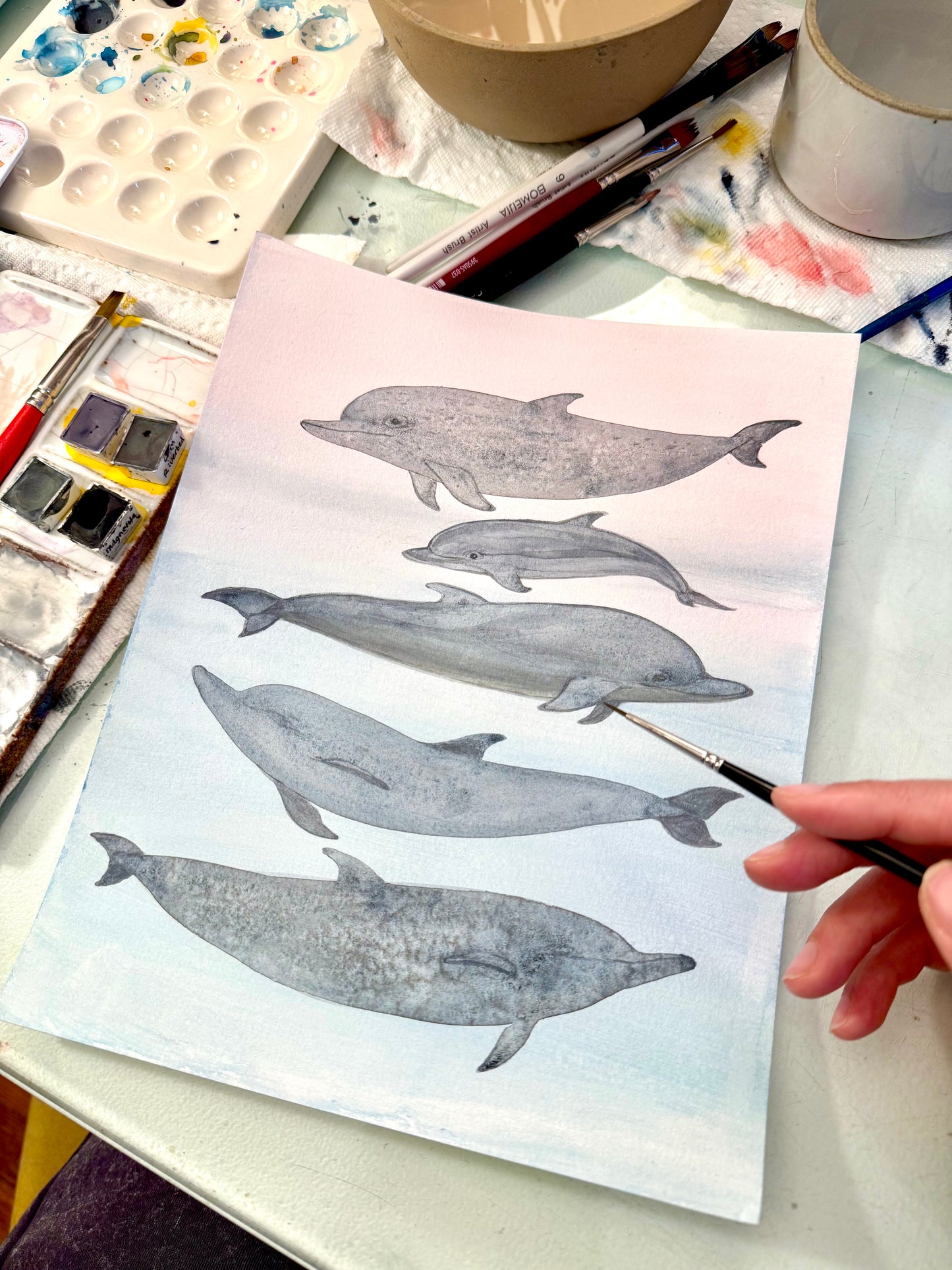 Naturalist Studies: Dolphins with Melanie Lan