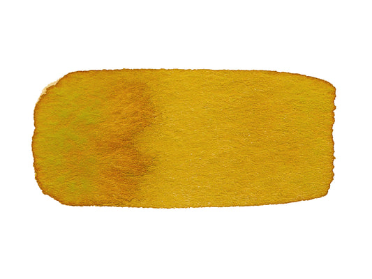 CfM Algae