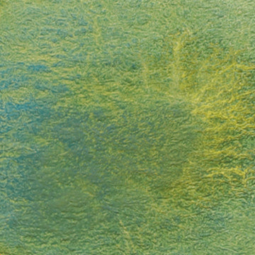 CfM Lagoon