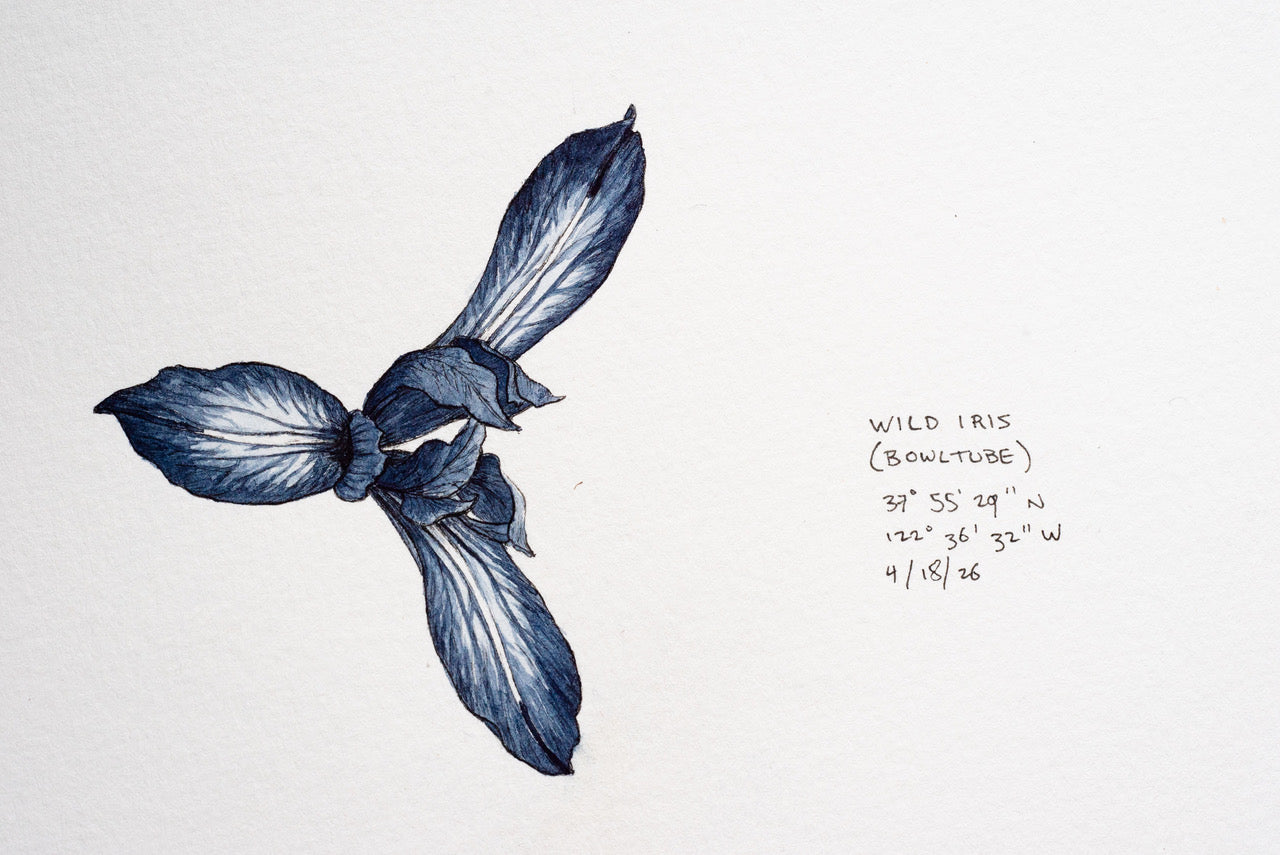 Drawing from the Local Universe with Sam Galison