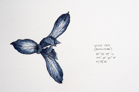 Drawing from the Local Universe with Sam Galison