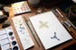 Drawing from the Local Universe with Sam Galison