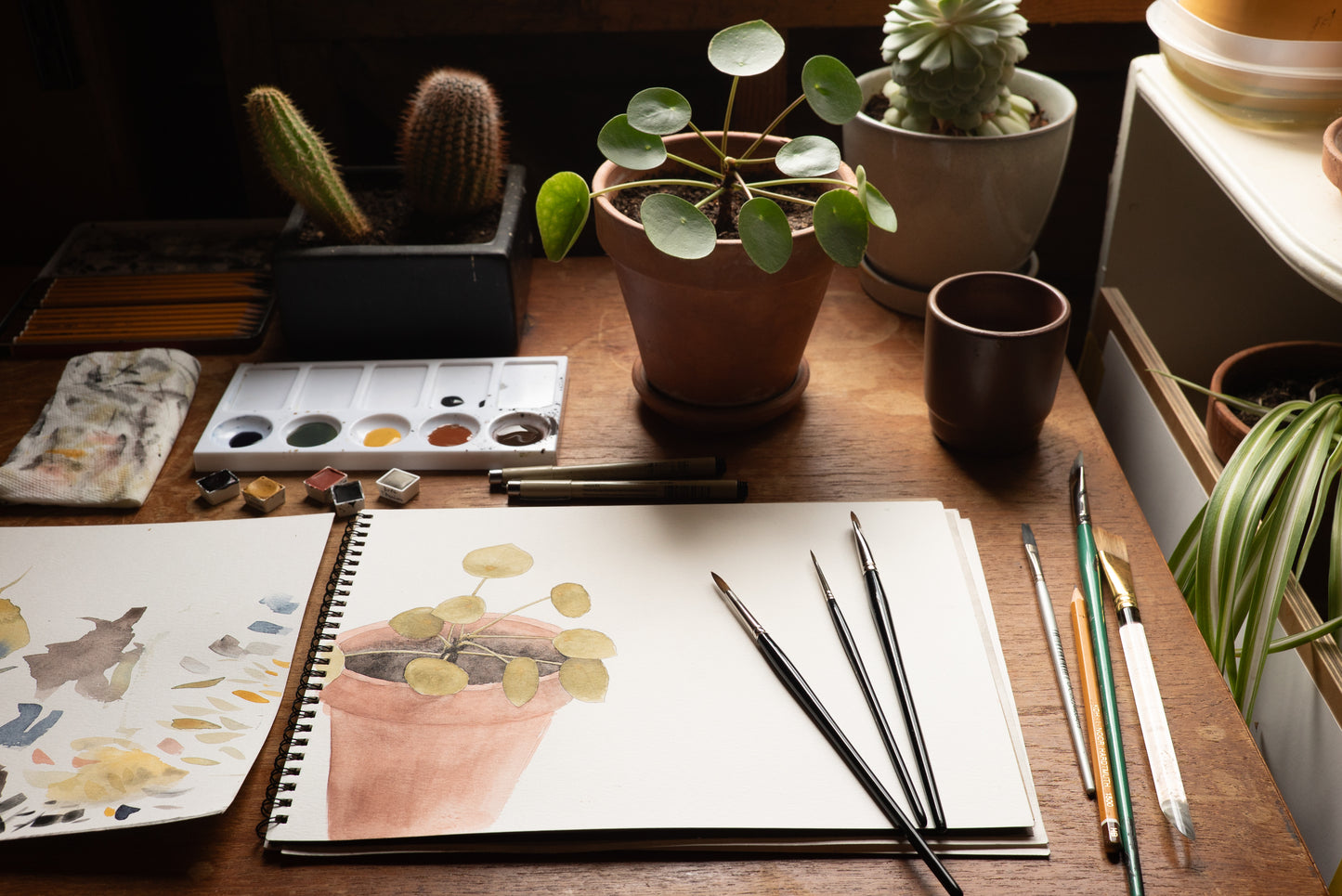 House Plant Portraits with Sam Galison