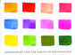 Floral Palette