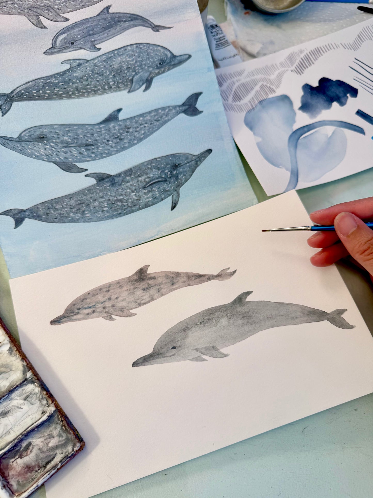 Naturalist Studies: Dolphins with Melanie Lan