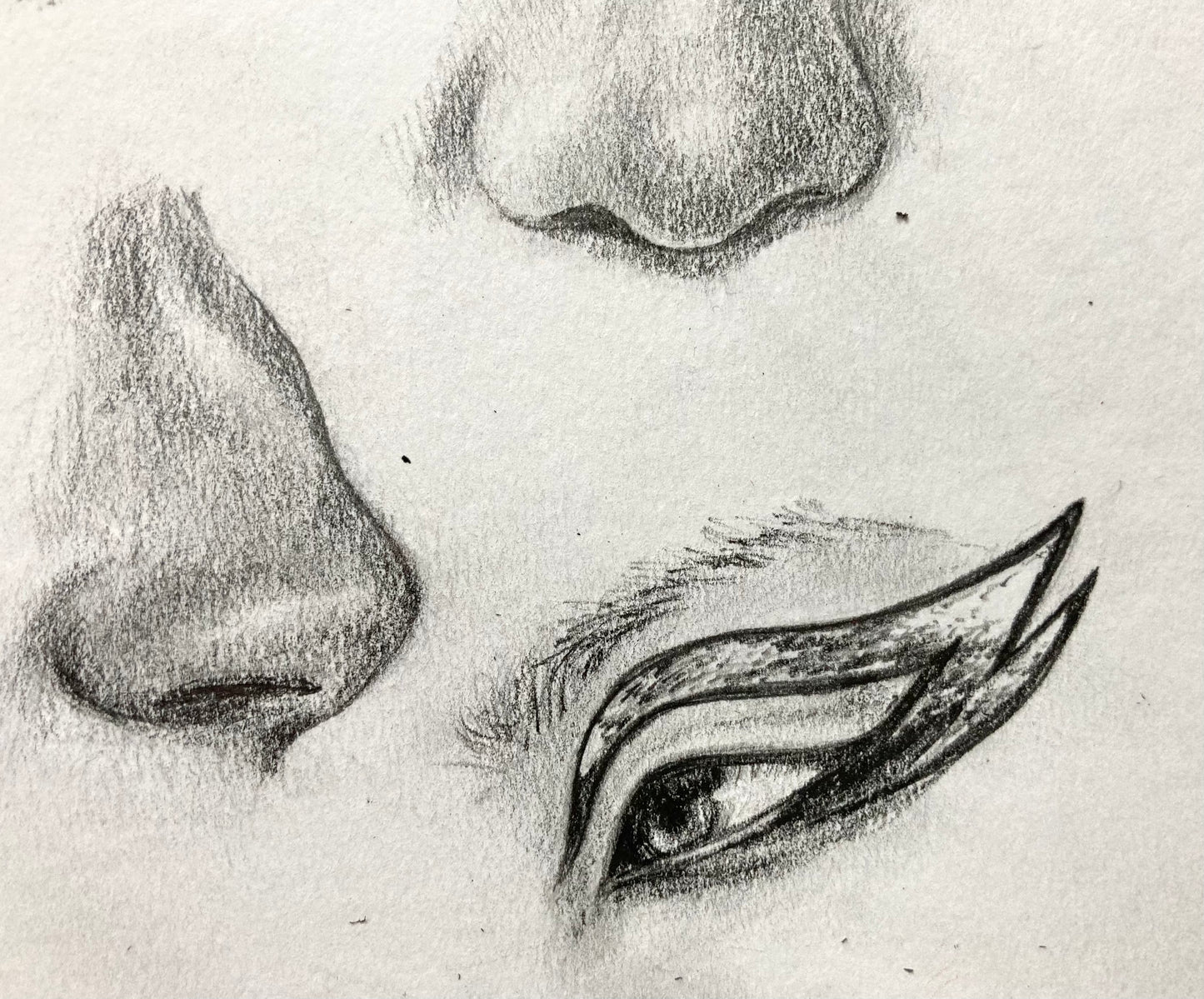 Fundamentals of Drawing Facial Features with Serena Cole