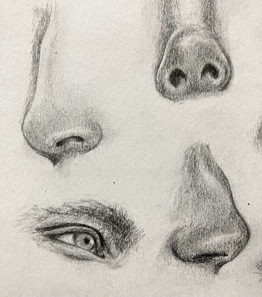 Fundamentals of Drawing Facial Features with Serena Cole