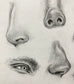 Fundamentals of Drawing Facial Features with Serena Cole