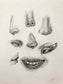 Fundamentals of Drawing Facial Features with Serena Cole