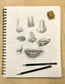 Fundamentals of Drawing Facial Features with Serena Cole