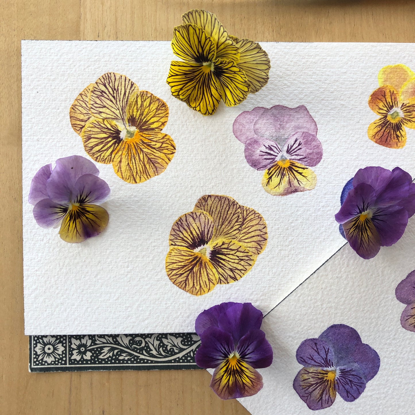 New! Painting Pansies with Sophie Tivona