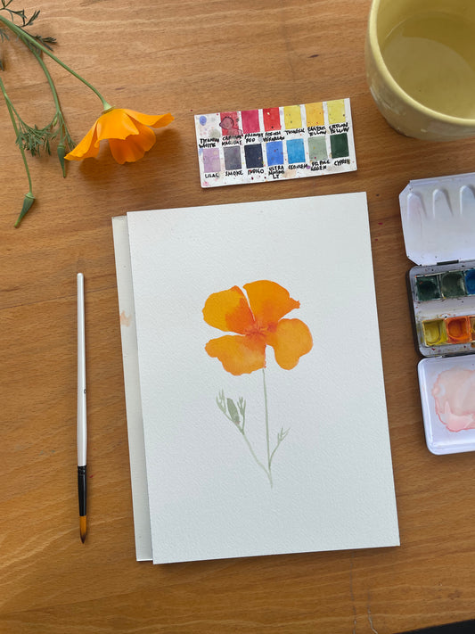 Summer Flowers with Claire Nereim