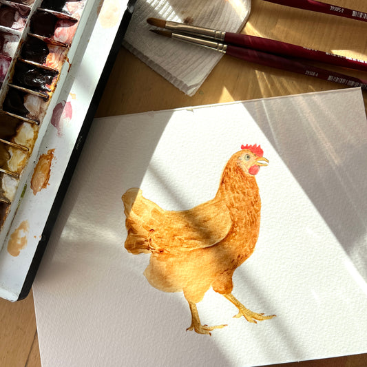 Chickens with Sophie Tivona