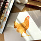 Chickens with Sophie Tivona
