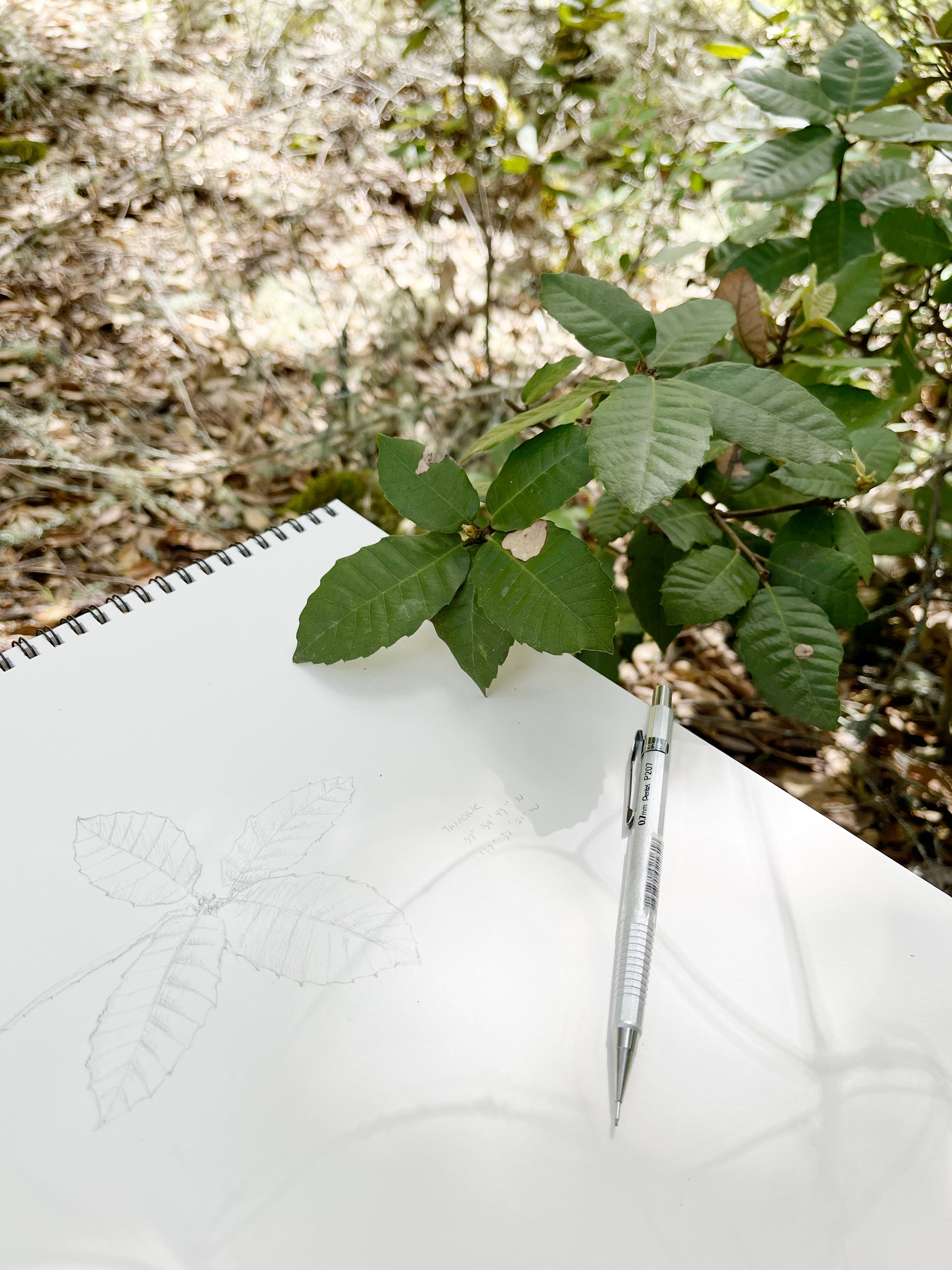 Additional product photo of the Open Air Drawing Club with Sam Galison.