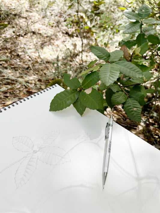Additional product photo of the Open Air Drawing Club with Sam Galison.