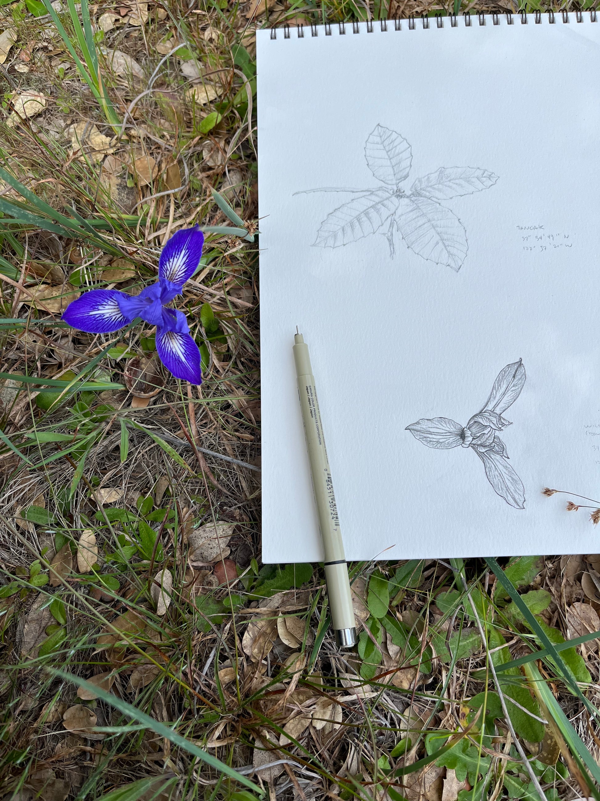 Open Air Drawing Club with Sam Galison, sATURDAY, SEPTEMBER 26, 10am - 12pm PTIn-person workshop at CfM Art Room, San Francisco.