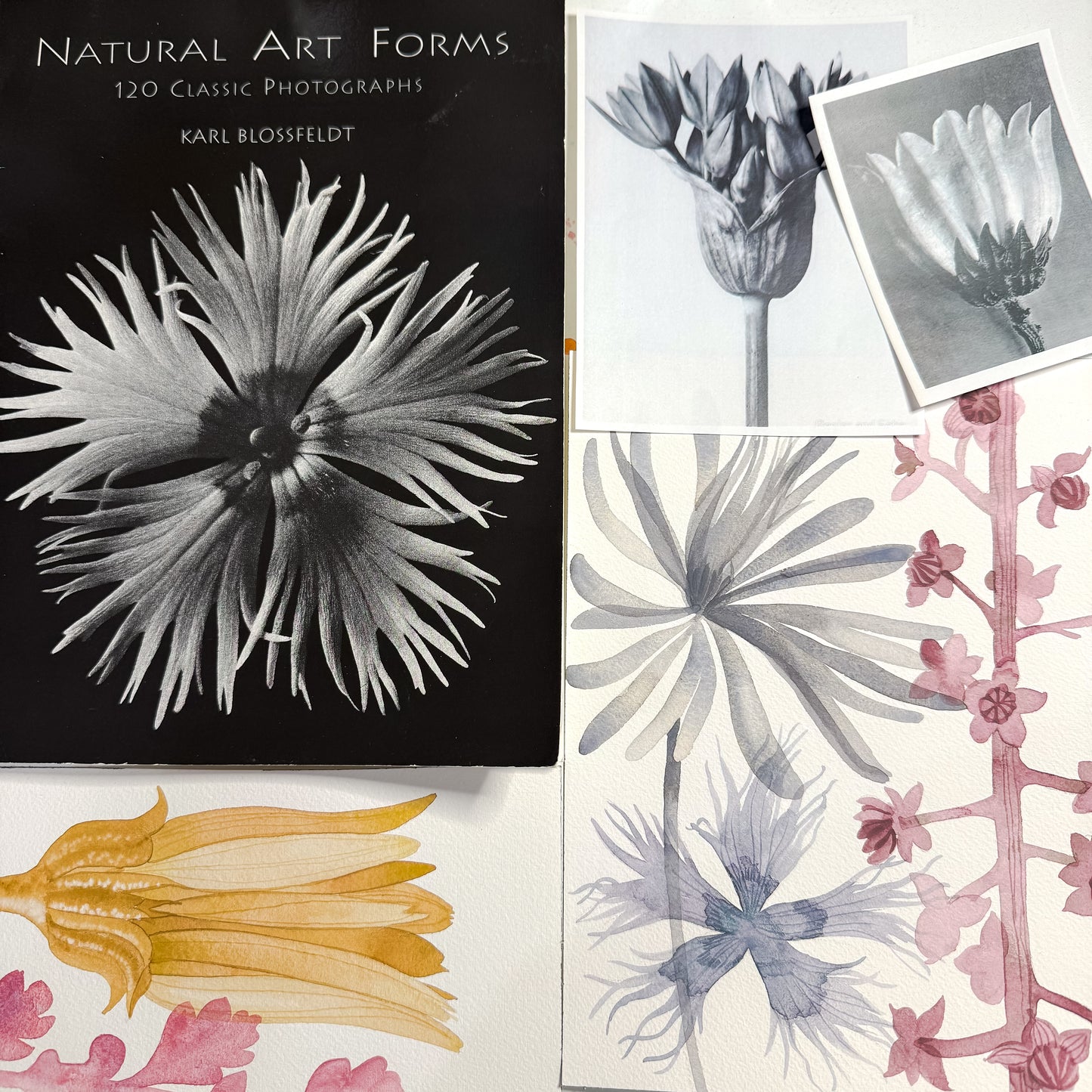 Watercolor Flora - Karl Blossfeldt with Claire Wilson-Oghedo