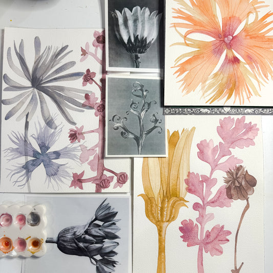 Watercolor Flora - Karl Blossfeldt with Claire Wilson-Oghedo