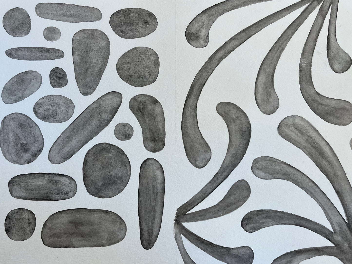 Additional product photo of the Natural Geometries with Sam Galison.